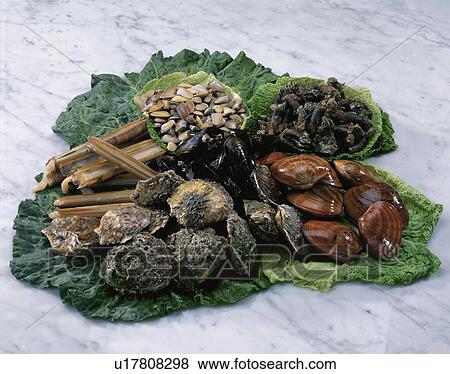 Stock Photo - Shellfish Set. Fotosearch