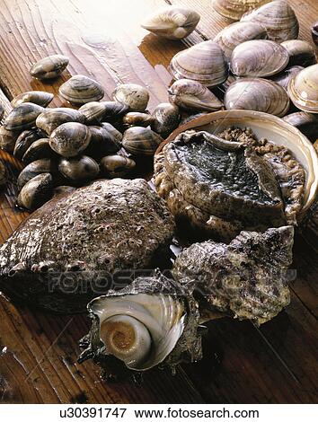 Stock Photo - Shellfish Set. Fotosearch