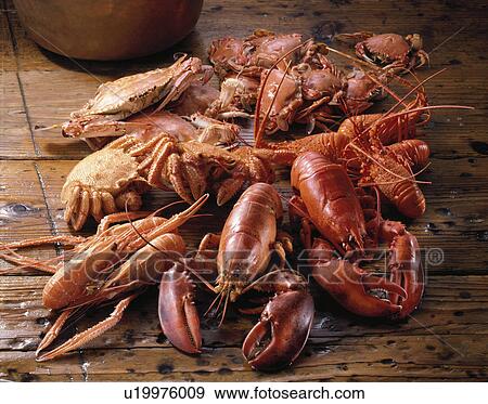 Stock Photo - Shrimp / Crab. Fotosearch