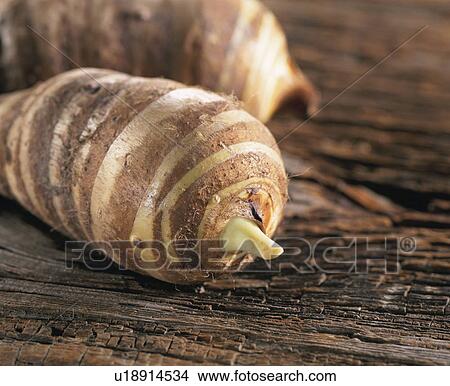 Shrimp Potato View Large Photo Image Picture - Shrimp Potato. Fotosearch