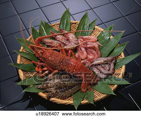 Stock Photo - Shrimp. Fotosearch