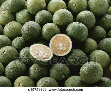 Small Citrus Fruit View Large Photo Image Stock Photograph - Small Citrus Fruit. Fotosearch
