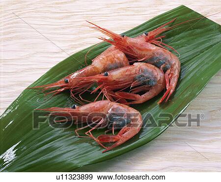 Stock Photo - Small Shrimp, Northern-Countries Red Shrimp,. Fotosearch