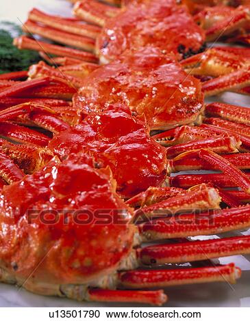 Snow Crab View Large Photo Image Stock Image - Snow Crab. Fotosearch