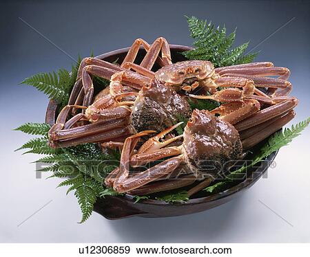 Snow Crab View Large Photo Image Stock Photo - Snow Crab. Fotosearch