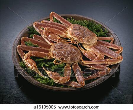 Stock Photography - Snow Crab. Fotosearch