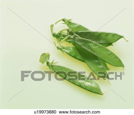 Stock Image - Snow Peas. Fotosearch
