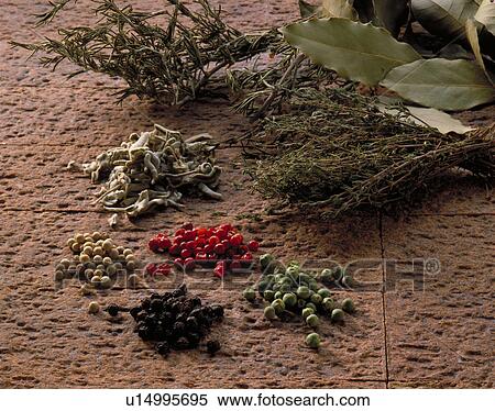 Stock Photography - Spice, Herb. Fotosearch