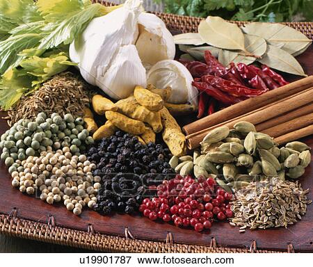Stock Photo - Spice Various Kinds. Fotosearch