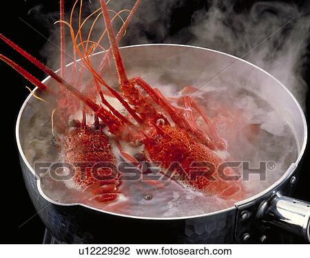 Stock Image - Spiny Lobster. Fotosearch