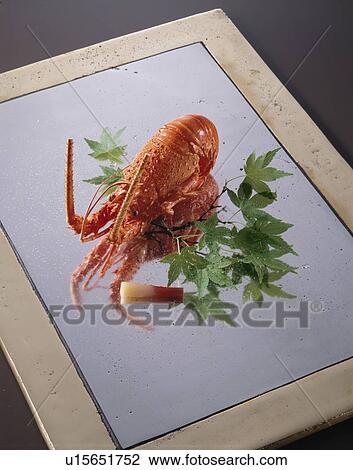 Spiny Lobster View Large Photo Image Stock Image - Spiny Lobster. Fotosearch