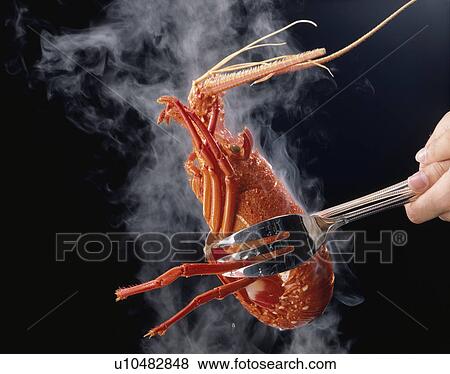 Spiny Lobster View Large Photo Image Stock Photo - Spiny Lobster. Fotosearch