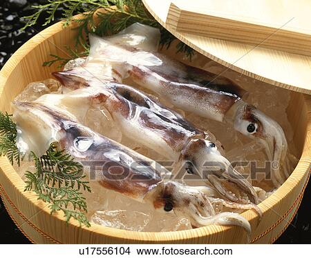 Picture - Squid. Fotosearch