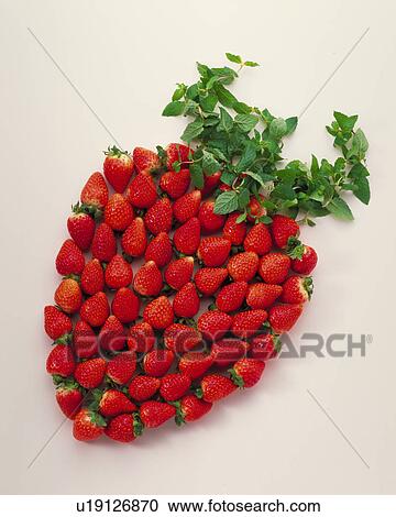 Strawberry View Large Photo Image Stock Image - Strawberry. Fotosearch