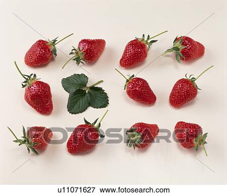 Strawberry View Large Photo Image Stock Photo - Strawberry. Fotosearch