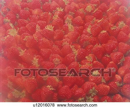 Strawberry View Large Photo Image Stock Photo - Strawberry. Fotosearch
