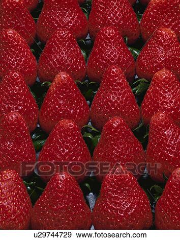 Stock Photo - Strawberry. Fotosearch