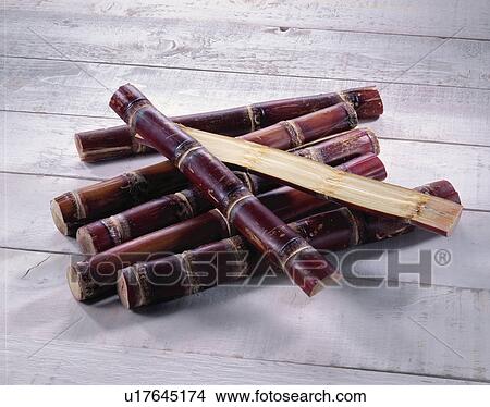 Picture - Sugar Cane. Fotosearch