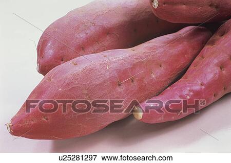 Sweet Potato View Large Photo Image Stock Photo - Sweet Potato. Fotosearch
