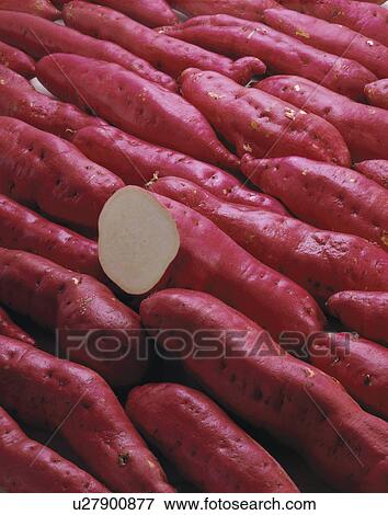 Sweet Potato View Large Photo Image Stock Photo - Sweet Potato. Fotosearch