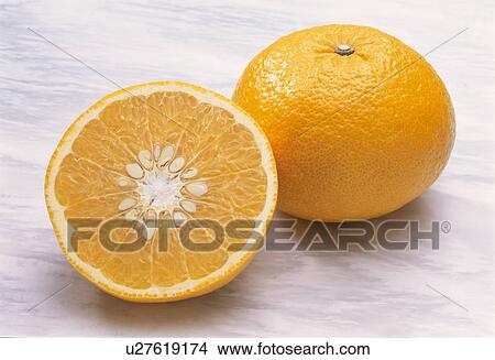 Sweet Summer Orange View Large Photo Image Picture - Sweet Summer Orange. Fotosearch