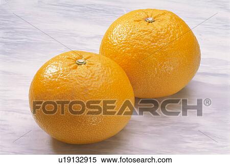 Stock Photography - Sweet Summer Orange. Fotosearch