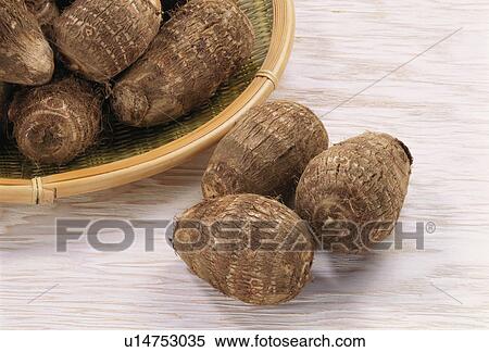 Stock Photography - Taro. Fotosearch