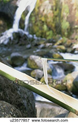 Stock Photo - Thin Wheat Noodles. Fotosearch