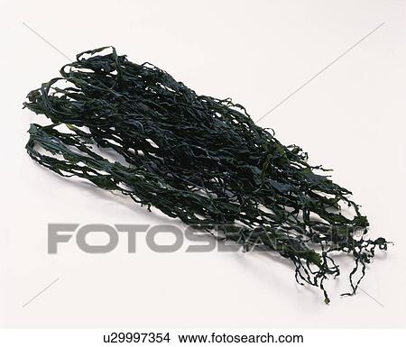 Picture - Thread Wakame Seaweed. Fotosearch
