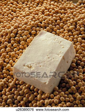 Tofu View Large Photo Image Stock Photograph - Tofu. Fotosearch