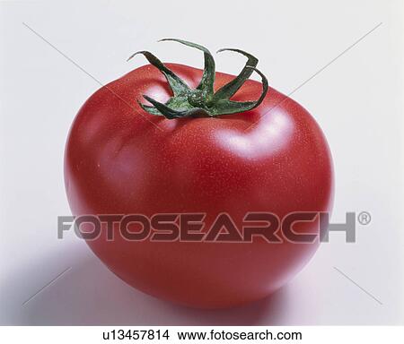 Tomato View Large Photo Image Picture - Tomato. Fotosearch