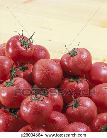 Tomato View Large Photo Image Picture - Tomato. Fotosearch