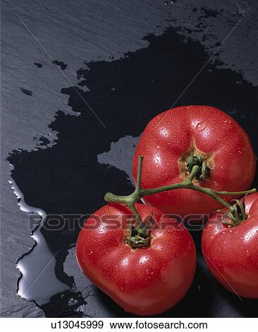 Stock Photo - Tomato. Fotosearch