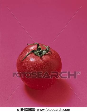 Stock Photo - Tomato. Fotosearch