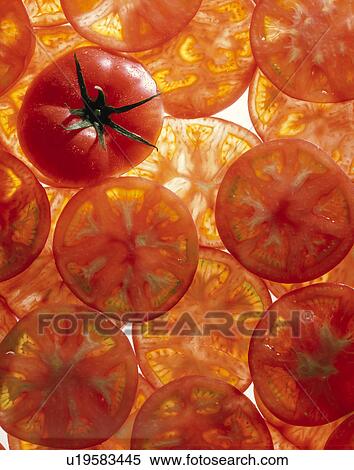 Stock Photography - Tomato. Fotosearch