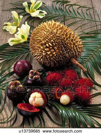Stock Photography - Tropical Fruit Set. Fotosearch
