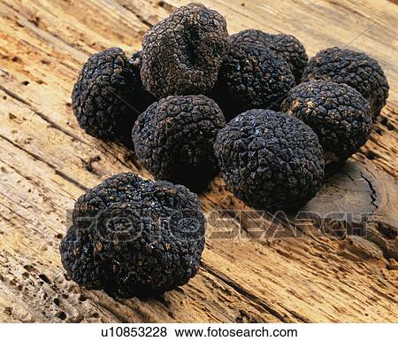 Stock Photo - Truffe. Fotosearch
