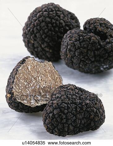 Stock Photography - Truffe. Fotosearch