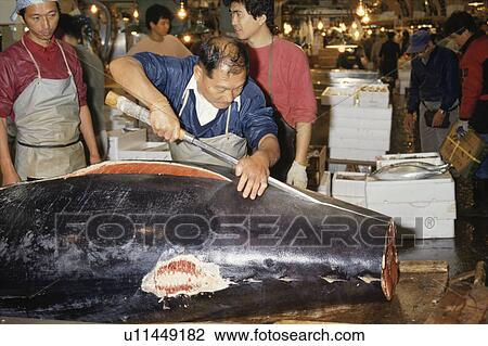 Stock Image - Tuna, Demolition. Fotosearch