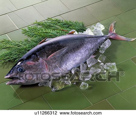 Stock Image - Tuna. Fotosearch