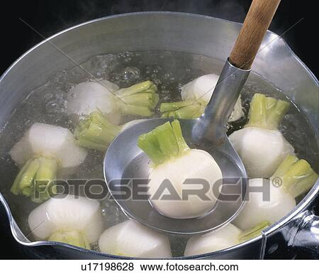 Stock Photo - Turnip. Fotosearch
