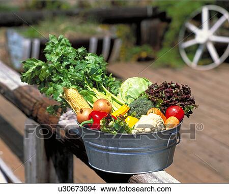 Vegetable Set View Large Photo Image Picture - Vegetable Set. Fotosearch