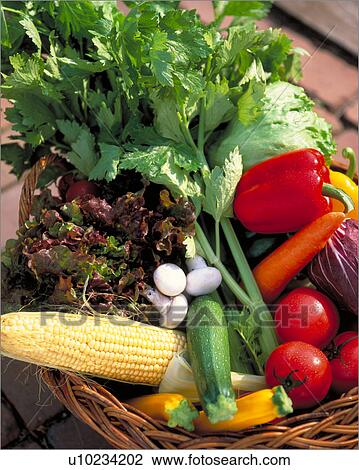 Vegetable Set View Large Photo Image Stock Image - Vegetable Set. Fotosearch