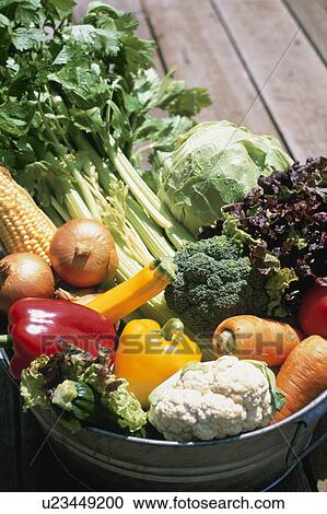 Vegetable Set View Large Photo Image Stock Image - Vegetable Set. Fotosearch