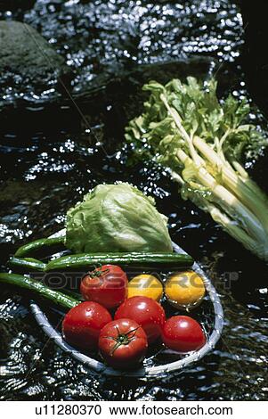 Stock Image - Vegetable Various Kinds. Fotosearch