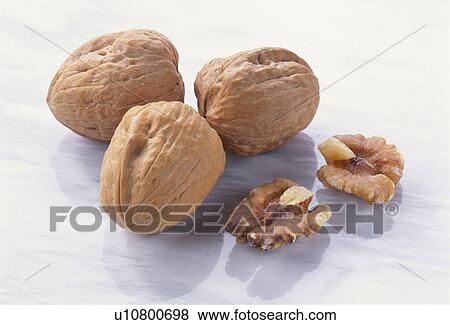 Walnut View Large Photo Image Stock Photo - Walnut. Fotosearch