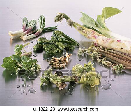 Wild Grass Set View Large Photo Image Stock Image - Wild Grass Set. Fotosearch