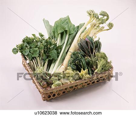 Stock Photo - Wild Grass Set. Fotosearch
