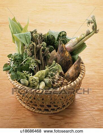 Stock Photo - Wild Grass Set. Fotosearch