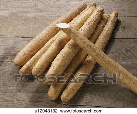 Yam View Large Photo Image Stock Image - Yam. Fotosearch